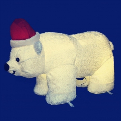 BEAR-C01