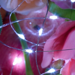 L0706001A
