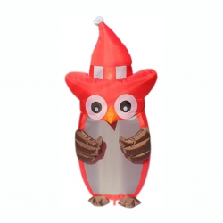 6FT-OWL