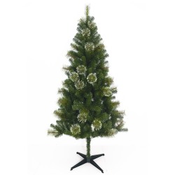 TREE0201007
