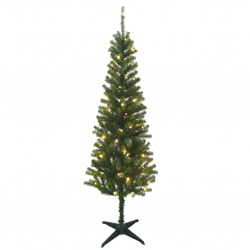 TREE0201006